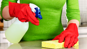 A person holding a sponge and cleaning spray