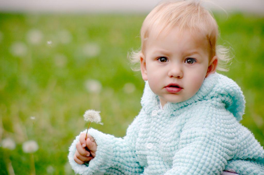 A baby with blonde hair holding a dandelion